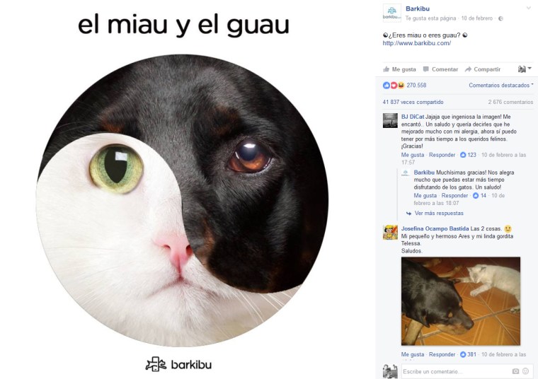 barkibu-viral-miau-guau